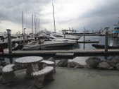 Enlarge photo 91