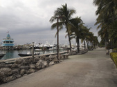 Enlarge photo 92