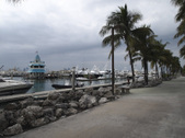 Enlarge photo 93