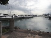 Enlarge photo 97