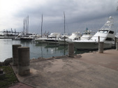 Enlarge photo 98