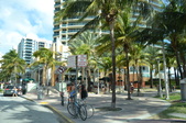 Enlarge photo 40