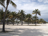 Enlarge photo 35