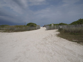 Enlarge photo 37