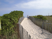 Enlarge photo 46