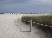Enlarge photo 51