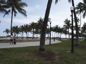 Enlarge photo 79