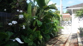 Enlarge photo 49