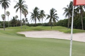 Enlarge photo 35