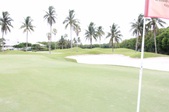 Enlarge photo 37