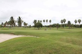 Enlarge photo 41