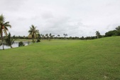 Enlarge photo 46