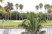 Enlarge photo 52