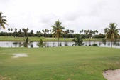 Enlarge photo 53