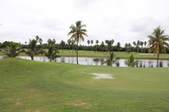 Enlarge photo 54