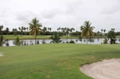 Enlarge photo 55