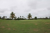 Enlarge photo 56