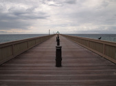 Enlarge photo 42