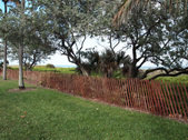 Enlarge photo 39