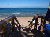 Enlarge photo 40