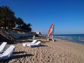 Enlarge photo 44