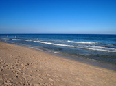 Enlarge photo 45