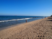 Enlarge photo 47