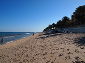 Enlarge photo 48