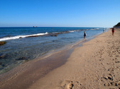 Enlarge photo 51