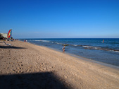 Enlarge photo 56