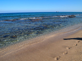 Enlarge photo 61