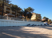 Enlarge photo 70