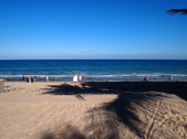 Enlarge photo 85