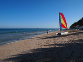 Enlarge photo 88