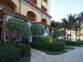 Enlarge photo 96