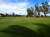 Enlarge photo 38