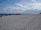 Enlarge photo 45