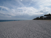 Enlarge photo 50