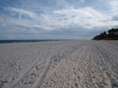 Enlarge photo 54