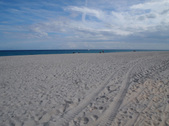 Enlarge photo 55