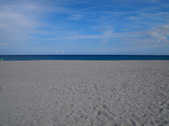 Enlarge photo 56