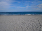 Enlarge photo 63