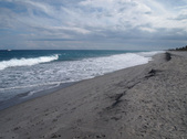 Enlarge photo 66