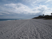 Enlarge photo 72