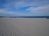 Enlarge photo 73