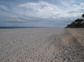 Enlarge photo 77