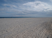 Enlarge photo 78