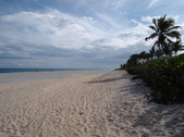 Enlarge photo 81