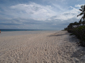 Enlarge photo 82