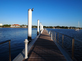 Enlarge photo 61